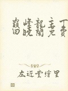 巅峰龙主丁长顺田晓兰免费阅读