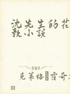 沈先生的花式管教小说