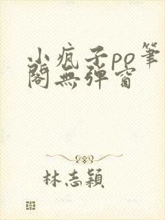 小疯子po笔趣阁无弹窗