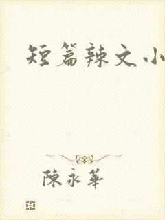 短篇辣文小说