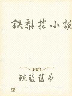 铁梨花小说封面