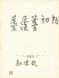 叶辰萧初然更新完没有