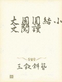大团圆结小茹全文阅读