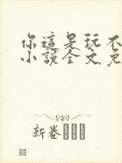 你这是玩不起呀小说全文免费阅读封面