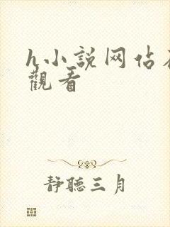 h小说网站在线观看封面