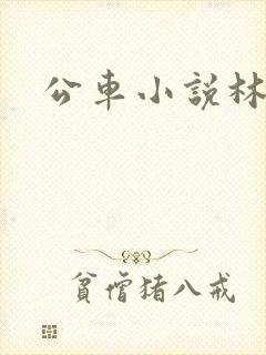 公车小说林蔓蔓