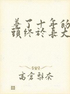 养了十年的小丫头终于长大了