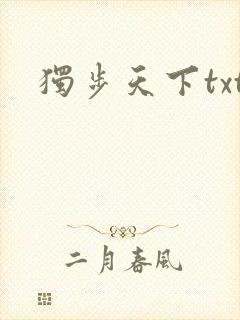 独步天下txt