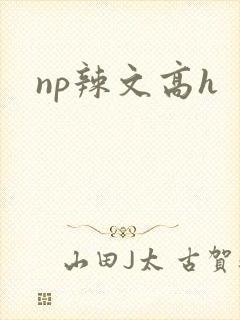 np辣文高h封面