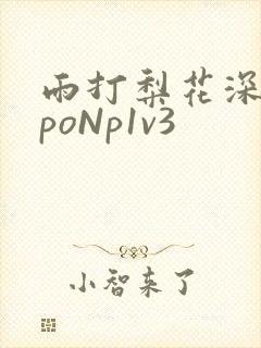 雨打梨花深闭门poNp1v3封面