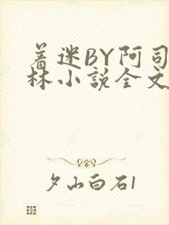 着迷BY阿司匹林小说全文免费阅读