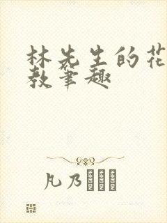 林先生的花式管教笔趣