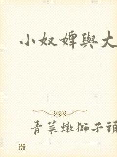 小奴婢与大少爷