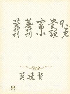 荣华富贵9小王莉莉小说免费阅读