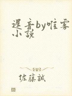 迟音by唯雾的小说