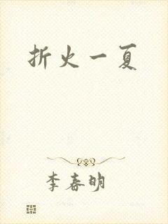折火一夏封面