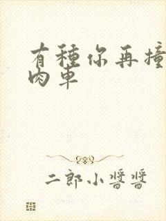 有种你再撞一下肉车