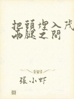 把头埋入茂密的两腿之间封面