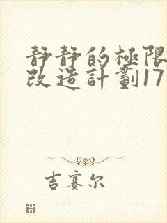 静静的极限自我改造计划17