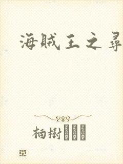 海贼王之寻亲记封面