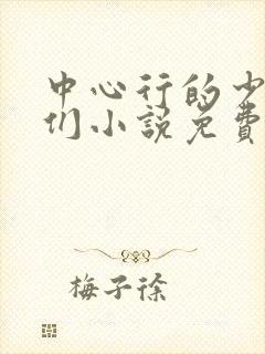 中心行的少夫妇们小说免费阅读全文