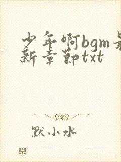 少年啊bgm最新章节txt封面