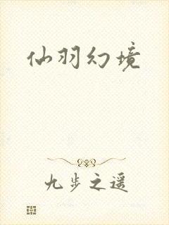 仙羽幻境封面