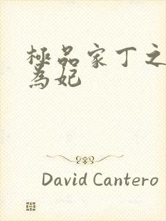 极品家丁之册母为妃