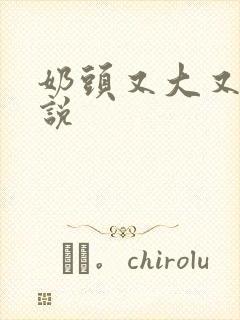 奶头又大又黑小说