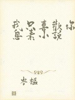 我只喜欢你的信息素小说封面