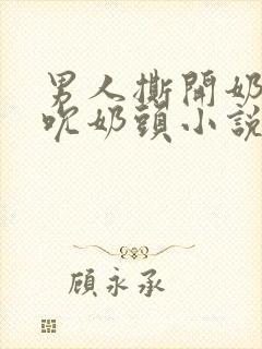 男人撕开奶罩揉吮奶头小说