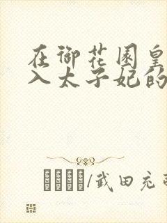 在御花园皇上进入太子妃的小说