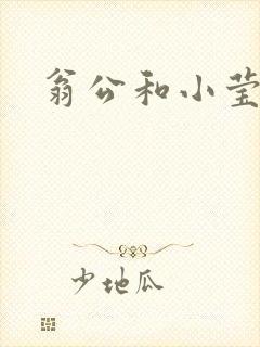 翁公和小莹