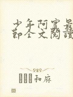 少年阿宾最新章节全文阅读目录