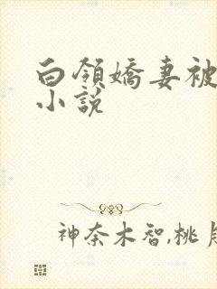 白领娇妻被调教小说