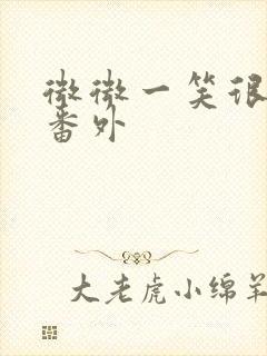 微微一笑很倾城番外