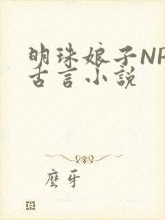 明珠娘子NPC古言小说
