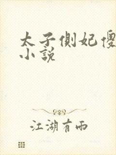 太子侧妃傻乎乎小说封面