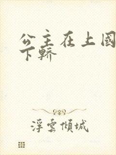 公主在上国师请下轿