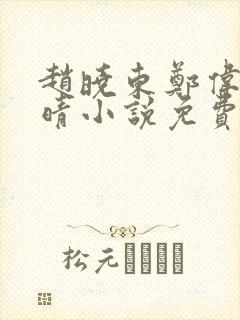 赵晓东郑伟吴雪晴小说免费阅读封面