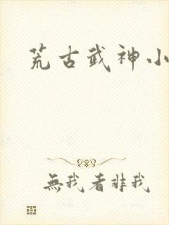 荒古武神小说