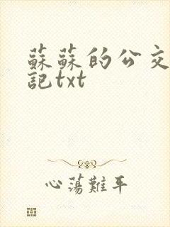 苏苏的公交车日记txt