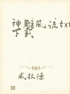 神雕风流txt下载封面