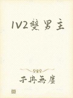 1V2双男主
