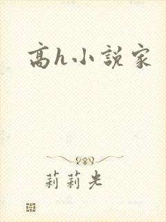 高h小说家封面