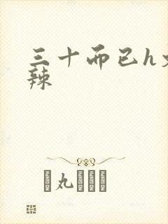 三十而已h文高辣