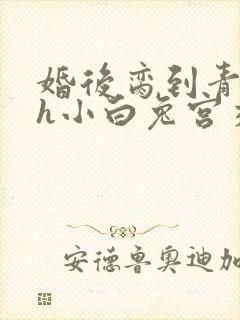 婚后脔到青梅哭h小白兔宫交h