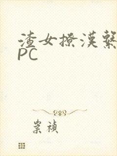 渣女撩汉系统NPC