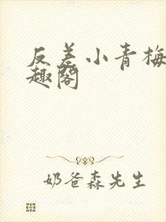 反差小青梅 笔趣阁