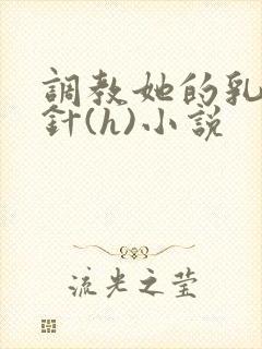 调教她的乳孔扎针(h)小说封面